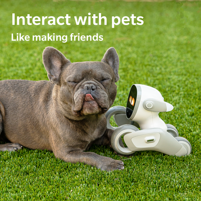 Loona Premium Smart Robot, AI PETBOT koos laadimisdokiga, KEYi Tech