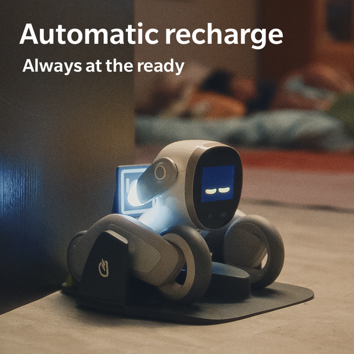 Laadimisdokk Loona robotile, KEYi Tech